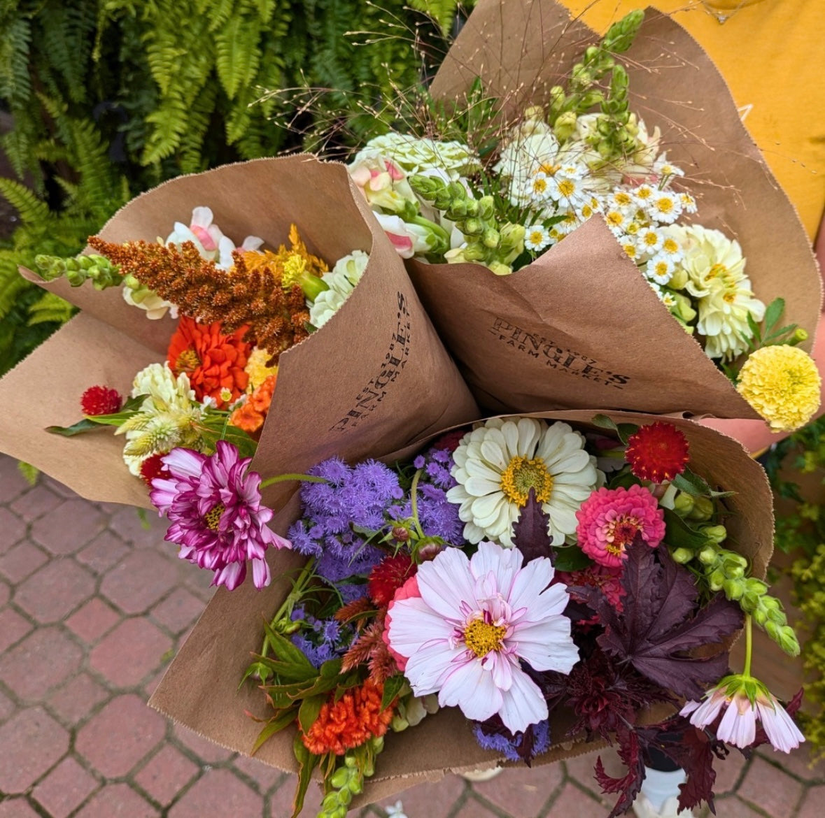 Pingle's Petal Club